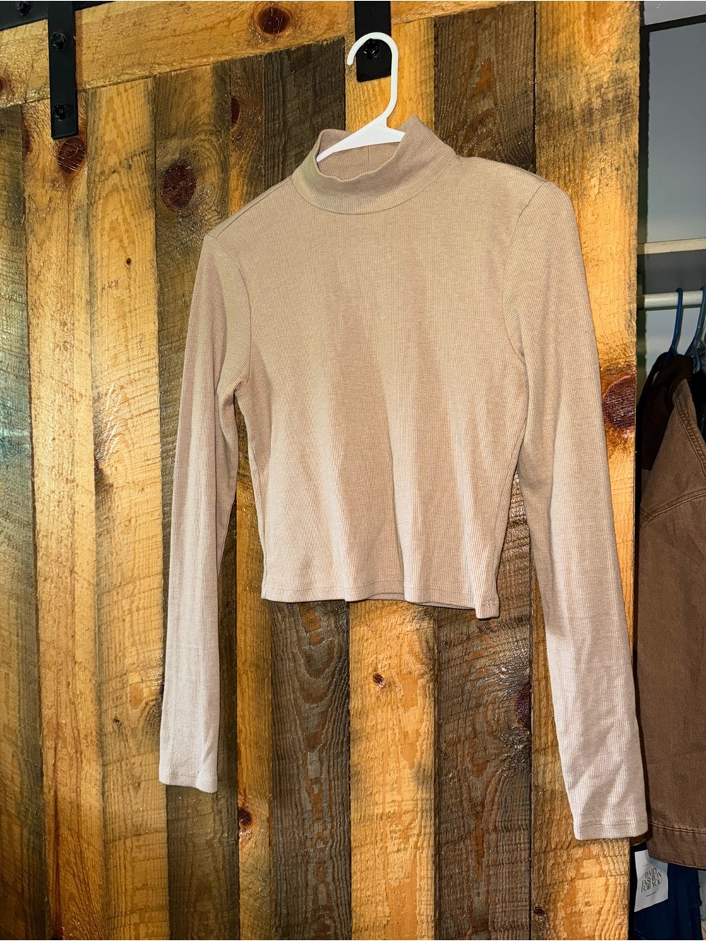 American Eagle Outfitters Beige Mock Neck Long-Sleeve Crop Top
